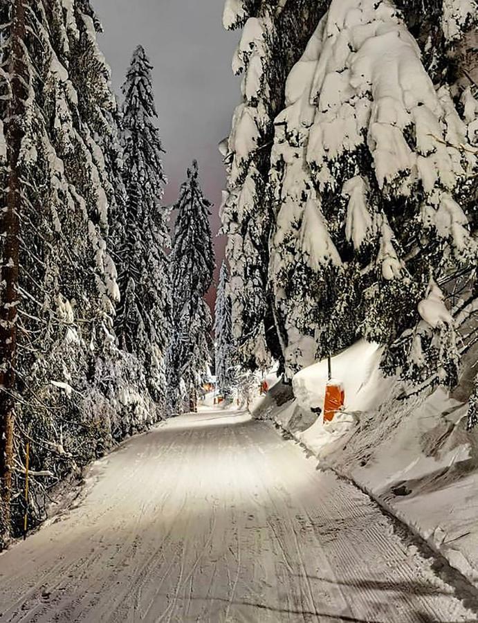 Wolf Apartments Jahorina Eksteriør billede